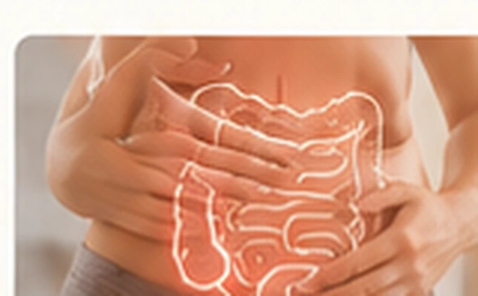 Imagen ilustrativa sobre salud digestiva y sibo